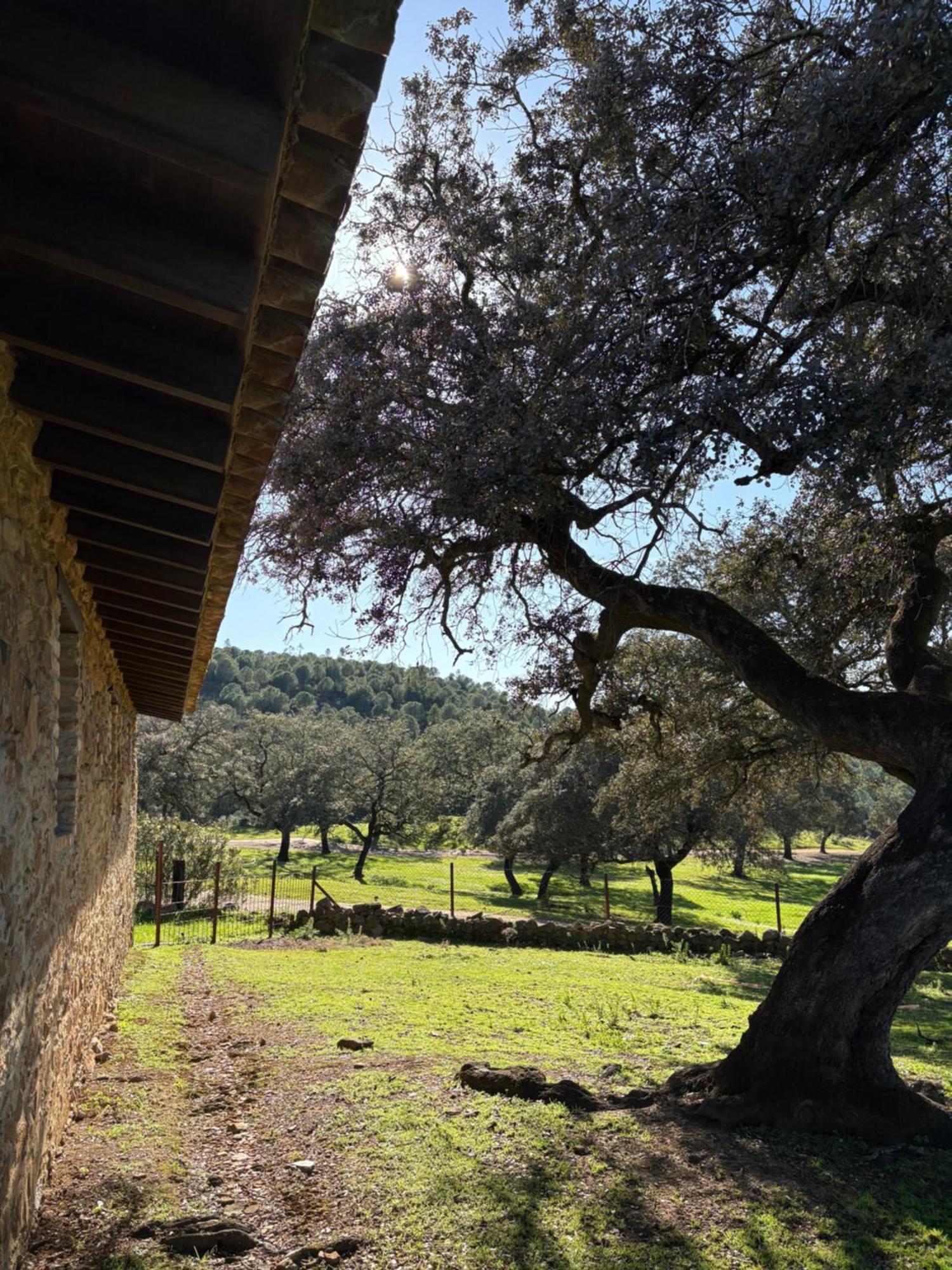 Finca Los Caleros Juan Gallegos Exteriér fotografie