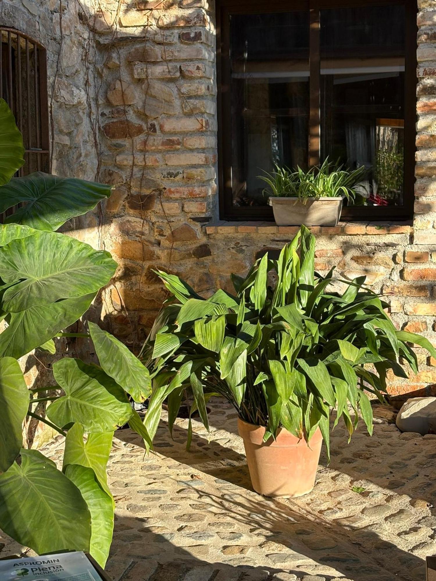 Finca Los Caleros Juan Gallegos Exteriér fotografie